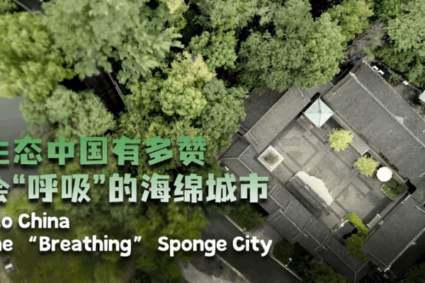 El distrito de Bishan innova la vida urbana con su ciudad esponja respirable El_distrito_de_Bishan_innova_la_vida_urbana_con_su_ciudad_esponja_respirable video poster