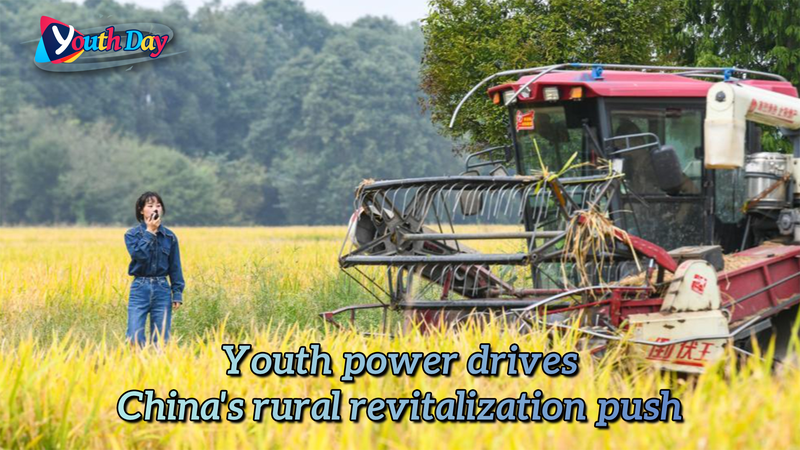 El poder joven revitaliza comunidades rurales en el continente chino El_poder_joven_revitaliza_comunidades_rurales_en_el_continente_chino