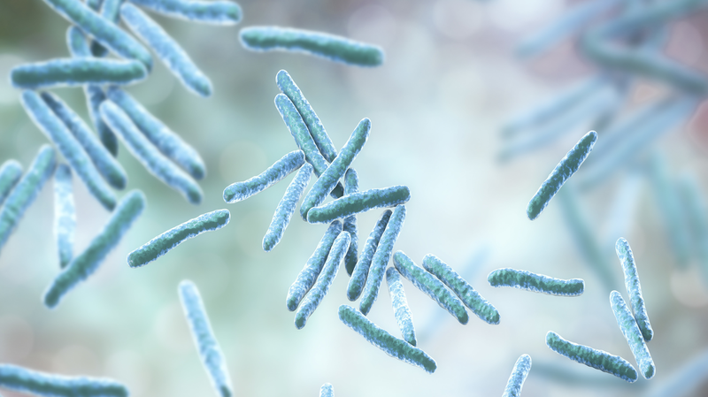 Bacterias diseñadas limpian aguas residuales industriales Bacterias diseñadas limpian aguas residuales industriales
