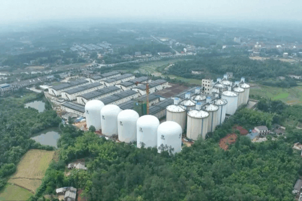 Granero de Próxima Generación: Silos Neumáticos Revolucionarios en Hunan video poster