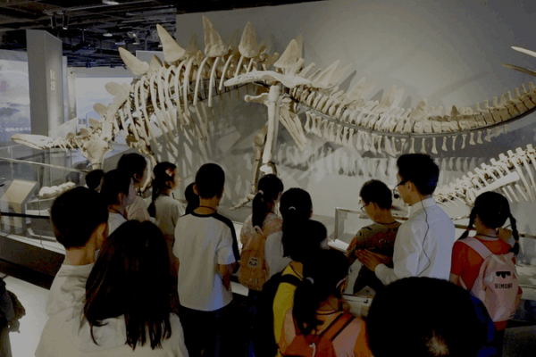 Sé testigo de la transformación: En vivo desde el Museo de la Universidad de Sichuan video poster