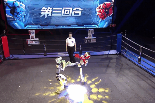 Kung_Fu_Bots__Una_Nueva_Era_en_Combate_Humanoide