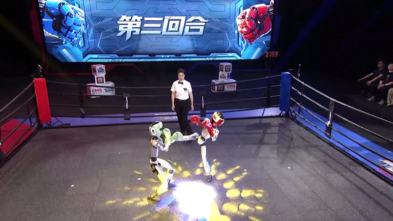 Kung_Fu_Bots__Una_Nueva_Era_en_Combate_Humanoide