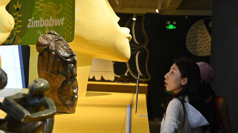 Aumento del turismo impulsa nueva cooperación China-África Aumento del turismo impulsa nueva cooperación China-África