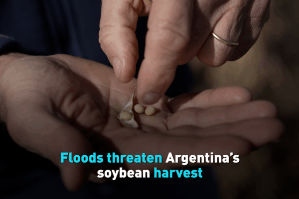 Las_inundaciones_amenazan_la_cosecha_de_soja_en_Argentina video poster