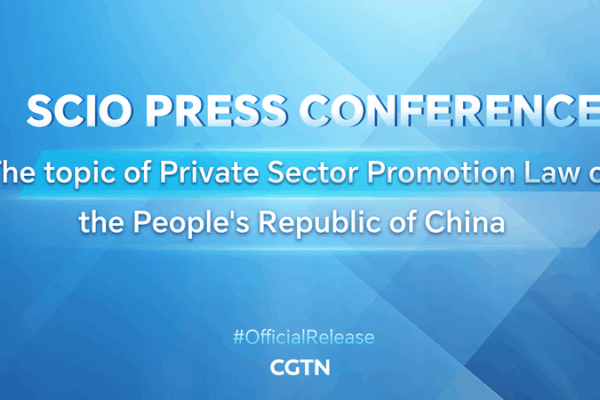 Nueva Era para los Negocios en China: Ley del Sector Privado en el Foco Nueva_Era_para_los_Negocios_en_China__Ley_del_Sector_Privado_en_el_Foco video poster