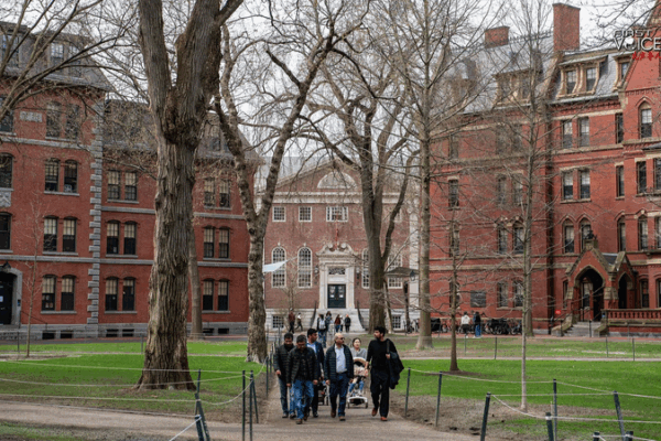 Programa Internacional de Harvard Revocado en Medio de Tensiones PolĂticas en EE.UU. Programa Internacional de Harvard Revocado en Medio de Tensiones PolĂticas en EE.UU.