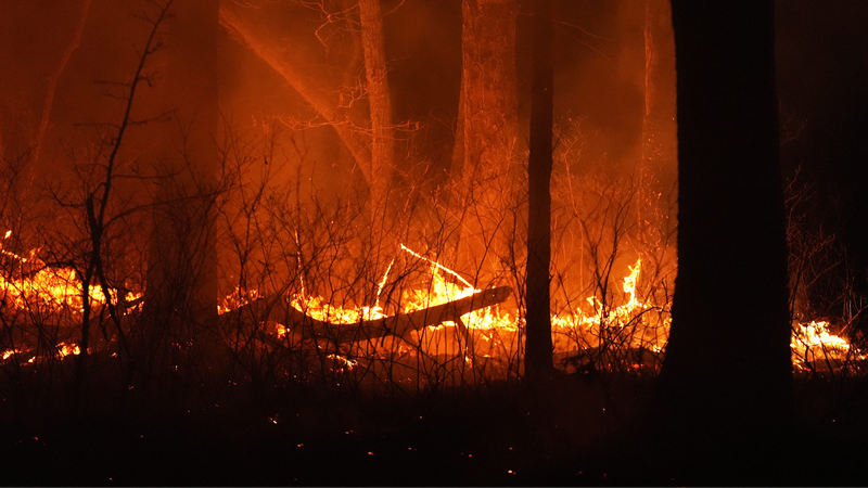 Humo de incendios forestales y cambio climático: 15,000 vidas perdidas en EE.UU.