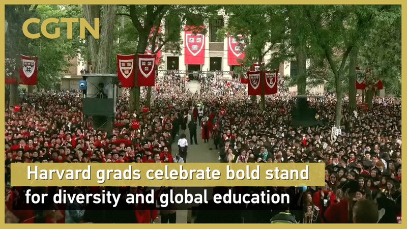 Graduados de Harvard promueven la diversidad y la educación global video poster