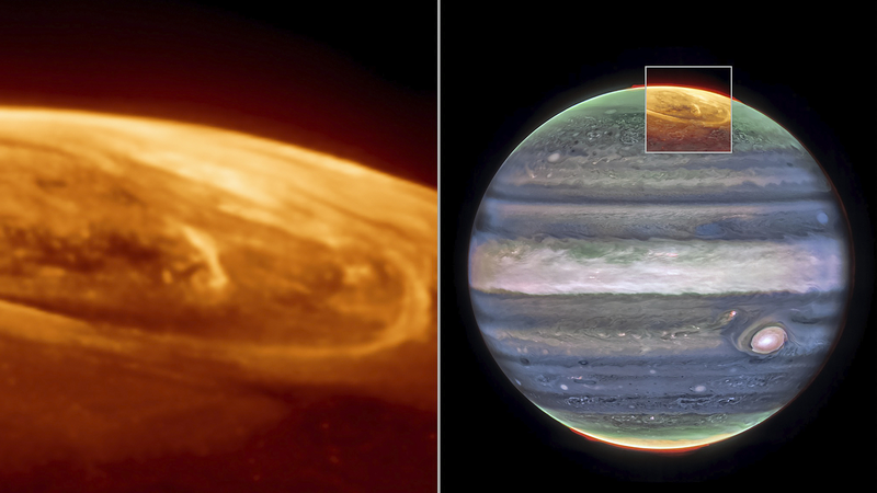 El telescopio Webb de la NASA captura impresionantes auroras de Júpiter
