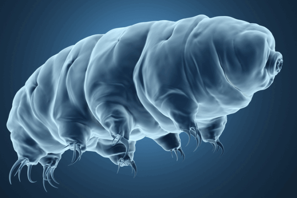 Tatuajes_de_Hielo_Innovadores__Nanoarte_para_la_Medicina_del_Futuro