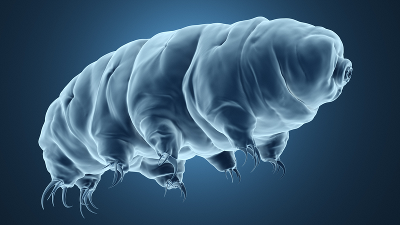 Tatuajes_de_Hielo_Innovadores__Nanoarte_para_la_Medicina_del_Futuro