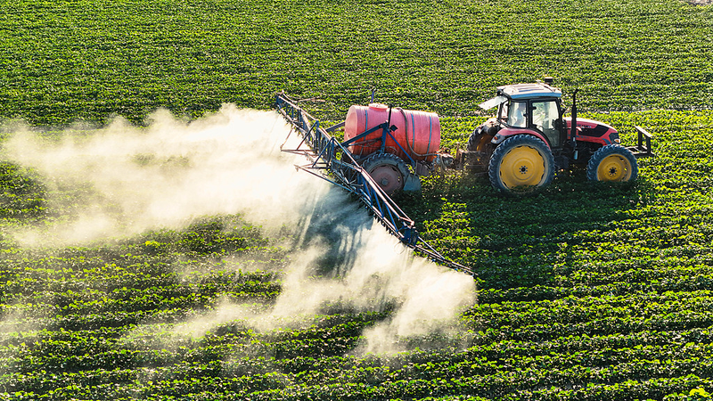 La Semana Dorada impulsa la innovación en algodón inteligente en Xinjiang video poster
