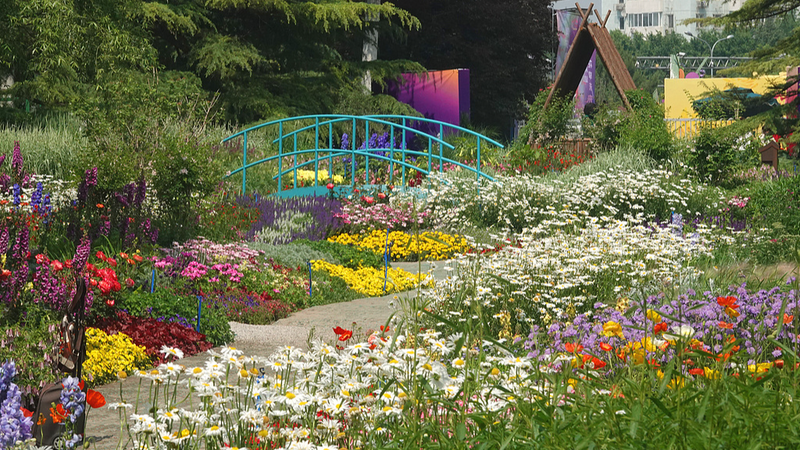 El jardín viviente de Monet en Beijing florece en el Parque Haidian