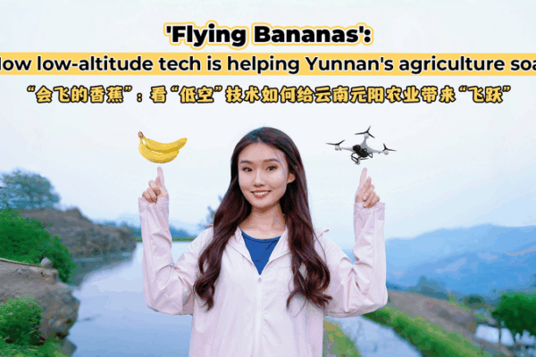 Plátanos Voladores: Los Drones Revolucionan la Agricultura en Yunnan video poster