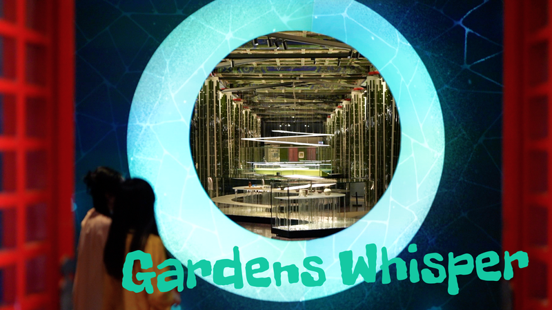 ExposiciĂłn de PekĂn: Los jardines inspiran creatividad ExposiciĂłn de PekĂn: Los jardines inspiran creatividad video poster