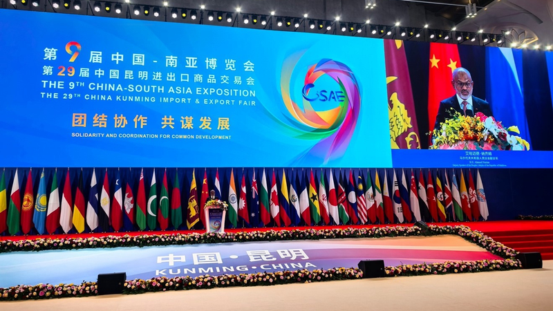 El Comercio y la Innovación Brillan en la Exposición China-Sur de Asia
