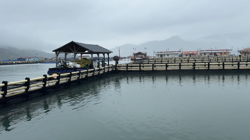 Sandu'ao abraza la sostenibilidad en el Día Mundial de los Océanos video poster