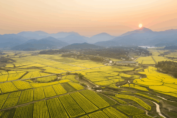 Changsha será sede del Día del Patrimonio Cultural y Natural 2025 Changsha será sede del Día del Patrimonio Cultural y Natural 2025