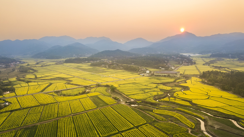 Changsha será sede del Día del Patrimonio Cultural y Natural 2025
