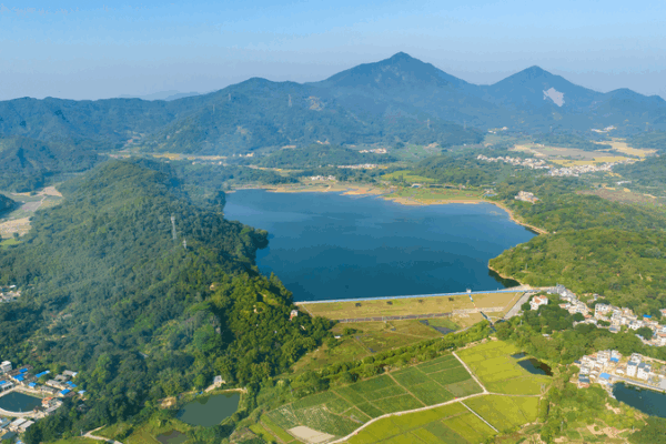 China adopta la cooperación global para un futuro verde