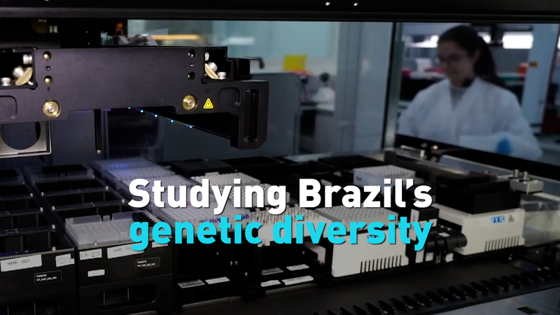 Descubriendo el Mosaico Genético de Brasil video poster