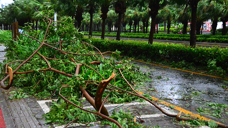 El tifón Wutip provoca alerta de Nivel III en regiones del territorio continental chino El tifón Wutip provoca alerta de Nivel III en regiones del territorio continental chino