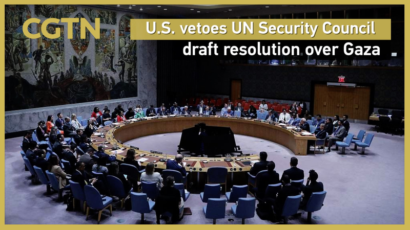Estados Unidos veta resolución propuesta por la ONU sobre el alto al fuego en Gaza Estados Unidos veta resolución propuesta por la ONU sobre el alto al fuego en Gaza video poster