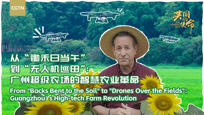 Revolución Agrícola en Guangzhou: La Tecnología Inteligente Transforma la Agricultura Revolución Agrícola en Guangzhou: La Tecnología Inteligente Transforma la Agricultura video poster