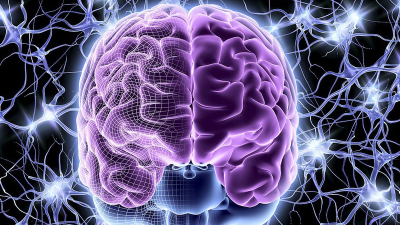 Revolucionario Hidrogel Cóctel Impulsa la Reparación Cerebral