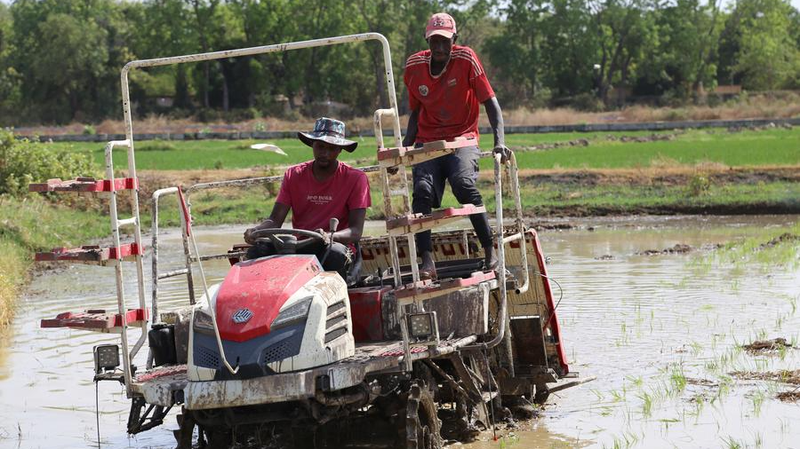 Wang Yi defiende las inspiradoras historias de éxito entre China y África