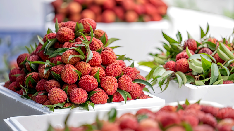 Los litchis volcánicos de Haikou: un dulce impulso para la revitalización rural