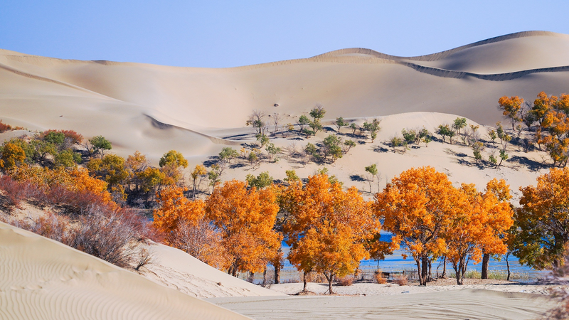 Milagro verde: China continental y Asia Central transforman desiertos Milagro_verde__China_continental_y_Asia_Central_transforman_desiertos