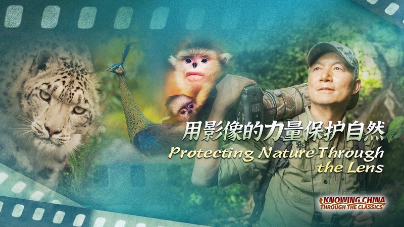 Naturaleza_en_foco__La_lente_de_Xi_Zhinong_sobre_la_biodiversidad video poster