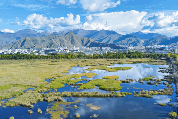 Xizang Brilla: ¡Calidad Eco de Primer Nivel en 2024! Xizang Brilla: ¡Calidad Eco de Primer Nivel en 2024!
