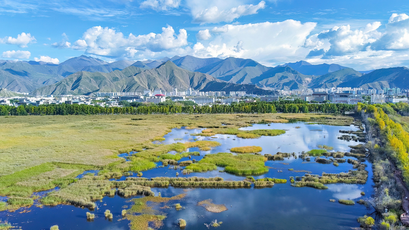 Xizang Brilla: ¡Calidad Eco de Primer Nivel en 2024!