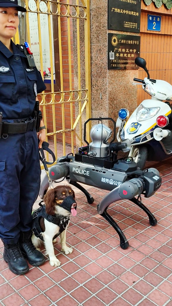 Real contra Robótico: Un Encuentro Único en el Día de Gaokao video poster