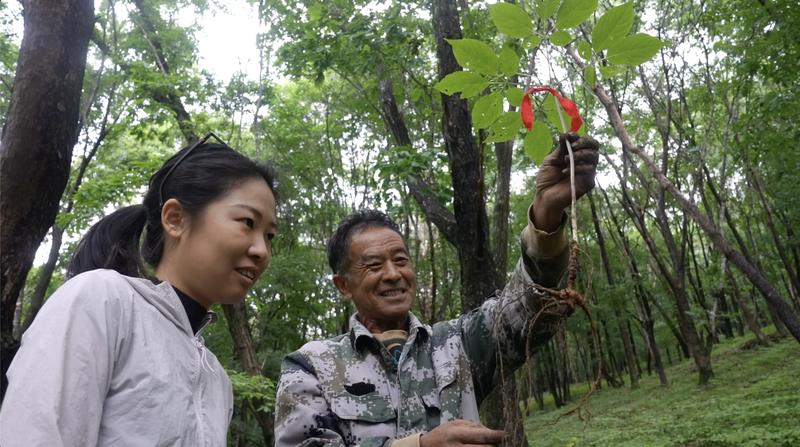 La reinvención rural de Ji'an: un modelo de crecimiento sostenible video poster