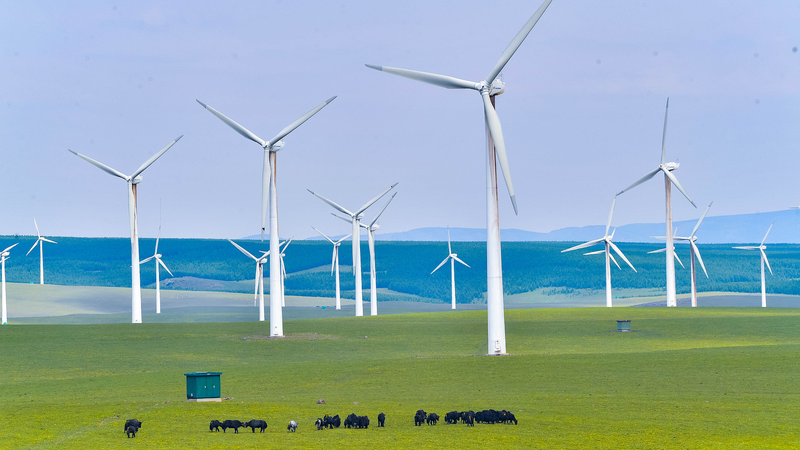 75 Años de Lazos Verdes: Cooperación Renovable Sino-Danesa
