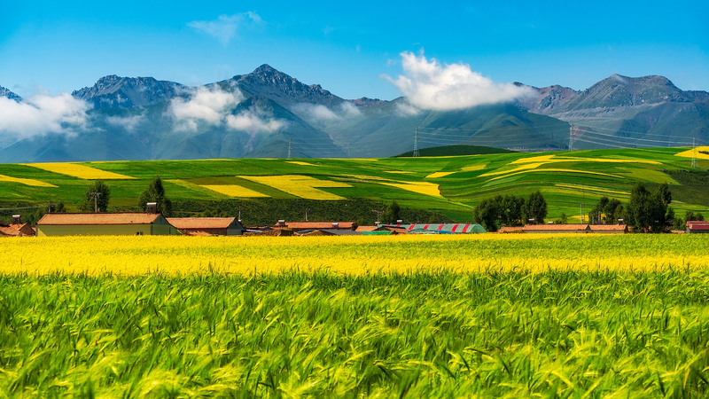 Nuevos datos satelitales impulsan la protección ecológica en la meseta de Qinghai-Xizang