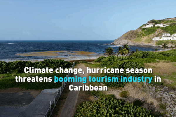 Doble amenaza: huracanes y sargazo desafĂan el turismo caribeño Doble amenaza: huracanes y sargazo desafĂan el turismo caribeño video poster