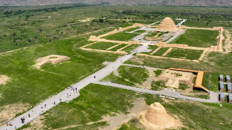 Tumbas Imperiales de Xixia: Una Fusión de Culturas