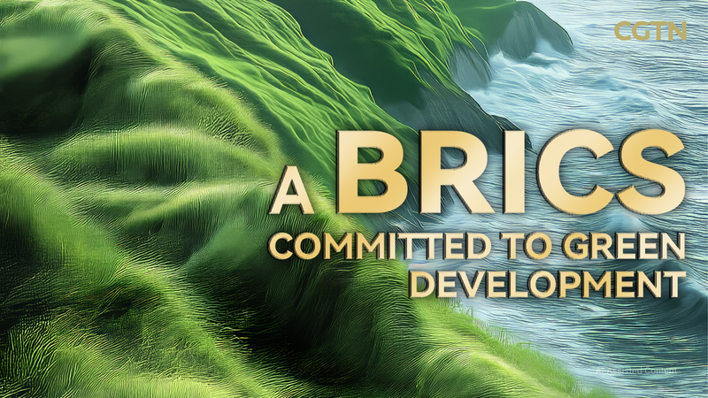China_insta_a_los_BRICS_hacia_un_futuro_verde video poster