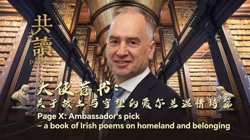 Selección del Embajador: Un viaje poético por la vida irlandesa video poster