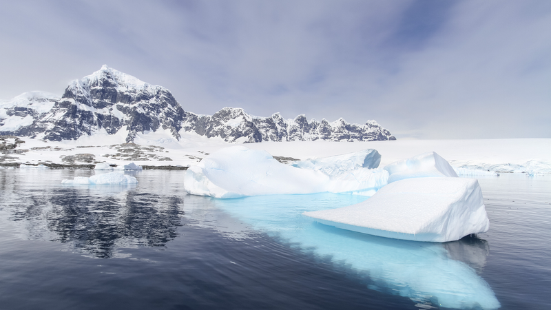 Crisis del Hielo Marino en la Antártida: Fauna y Clima en Riesgo