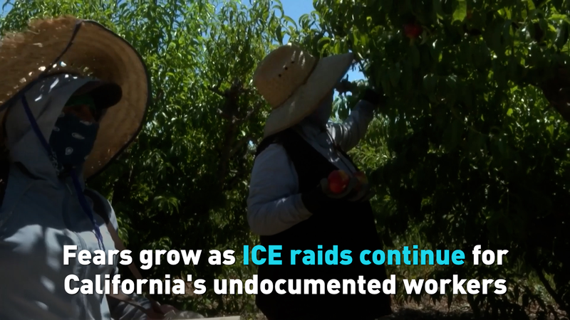 Las redadas de ICE generan temor a la deportación entre los trabajadores de California video poster