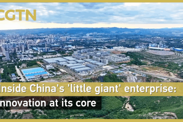 Innovación en su núcleo: Dentro de la empresa 'Pequeño Gigante' de China video poster