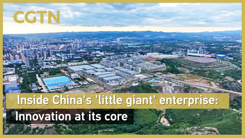 Innovación en su núcleo: Dentro de la empresa 'Pequeño Gigante' de China video poster