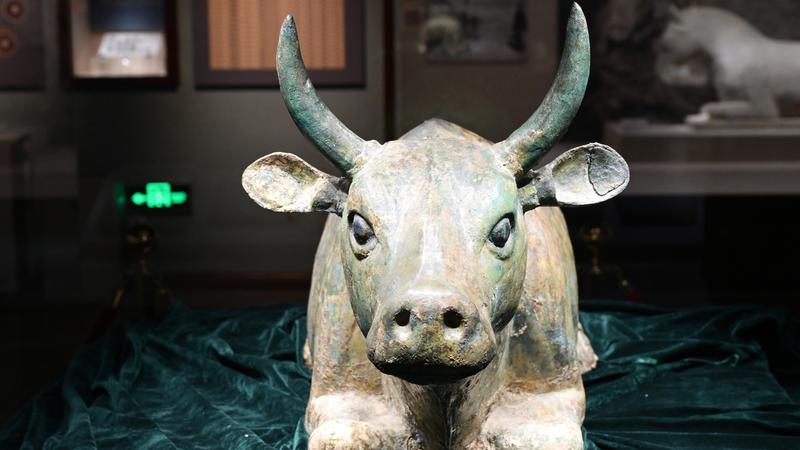 El_auge_de_verano_del_Museo_de_Ningxia__Tesoros_culturales_revelados