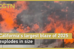 El_mayor_incendio_forestal_de_California_se_expande_en_2025 video poster